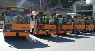 Bus