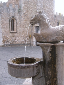Cavallo4F